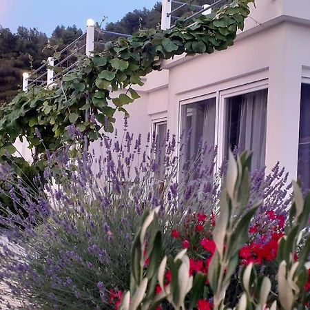 Vis - Luxury Holiday Villa With Swimming Pool ภายนอก รูปภาพ