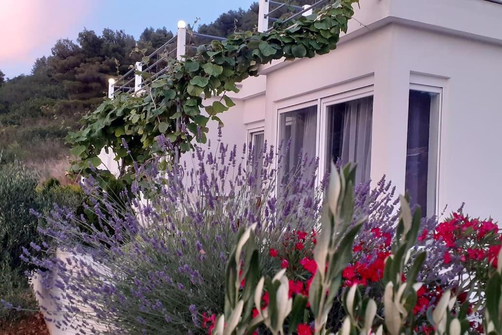 Vis - Luxury Holiday Villa With Swimming Pool ภายนอก รูปภาพ
